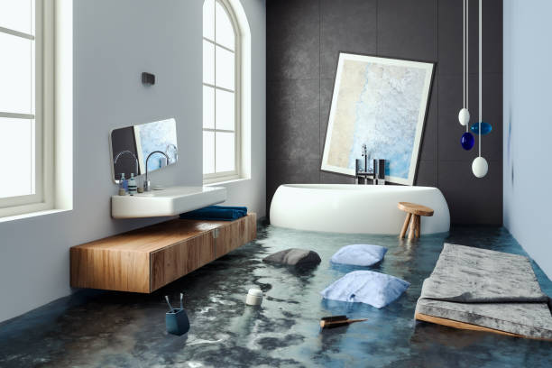 Best Professional water damage repair  in Wheatland, CA