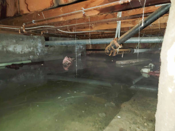 Best Ceiling water damage repair  in Wheatland, CA