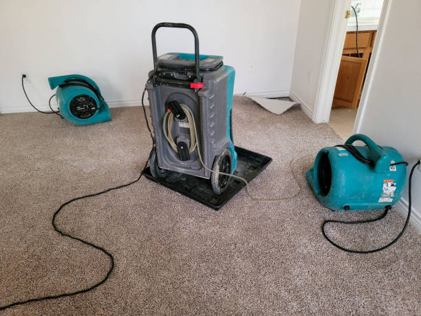 Best Water damage restoration near me  in Wheatland, CA