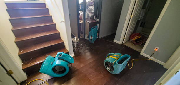 Professional Water damage restoration in CA