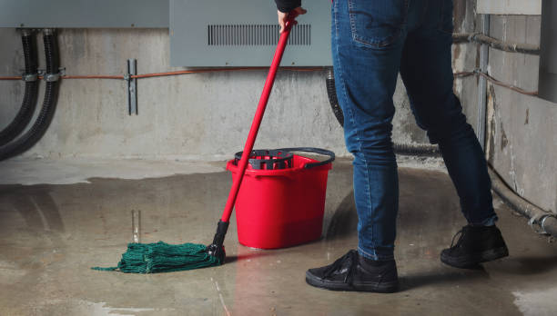 Best Flood restoration services  in Wheatland, CA