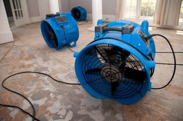 Best Basement water damage restoration  in Wheatland, CA