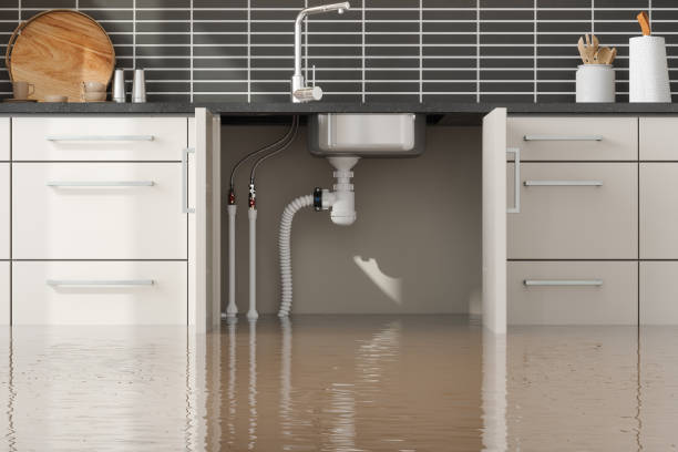 Best Residential water damage restoration  in Wheatland, CA
